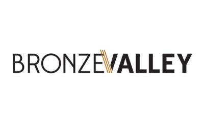Bronze Valley provides grants to five Black founders