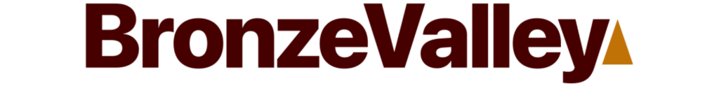 BV Website Logo (1)